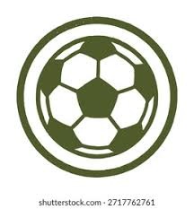 深圳新鹏城官方：前曼城助教拉坦齐奥任球队主帅